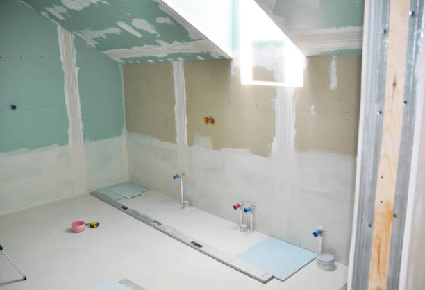 Best Basement Mold Removal  in USA